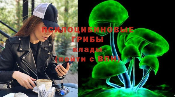 винт Алексеевка