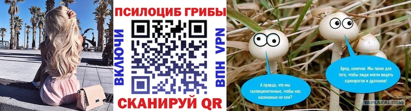 mega маркетплейс  Назрань  Псилоцибиновые грибы прущие грибы  закладки 
